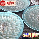 ふぐ刺し 河豚 お得大皿 4人前 3皿 セットふぐ さしみ 冷蔵 国産ふぐ刺身魚屋が作る 大人数用 フグ刺しどーんと12人前 ふぐ刺身高級 トラフグ てっさふぐ...