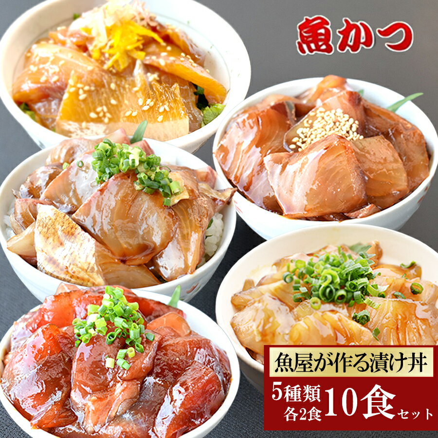 5品10食 漬け丼 冷凍 海鮮5種×2パッ