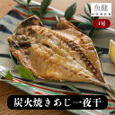 【 炭火焼きあじ一夜干し !! 1尾入 】 鯵 一夜干し 炭火焼き 干物 国産 取り寄せ 個包装 干物 あじ 魚 干物 ギフト ひもの ごはんのお供 ご飯のお供...