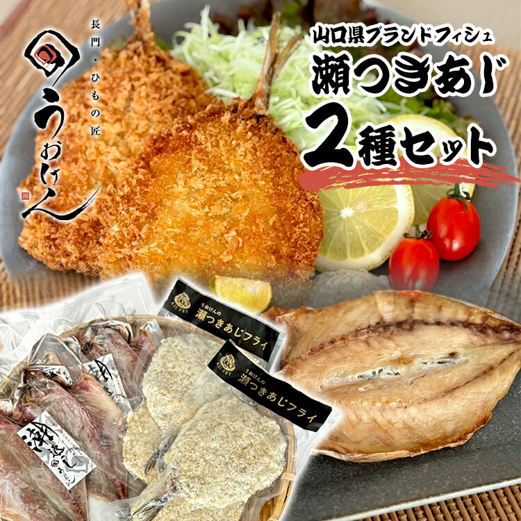 【 手軽で豪華な 瀬つき鯵 / 2種セット 】 あじ 干物 開き アジ アジフライ 冷凍 揚げるだけ ひもの 干し魚 魚 干物 ギフト 国産 真空パック 真空 あじ 干物セット 個包装 ギフト 簡単調理 魚 おかず 冷凍 真空パック ご飯 おかず 真空 つまみ おつまみ 酒の肴 瀬つきあじ