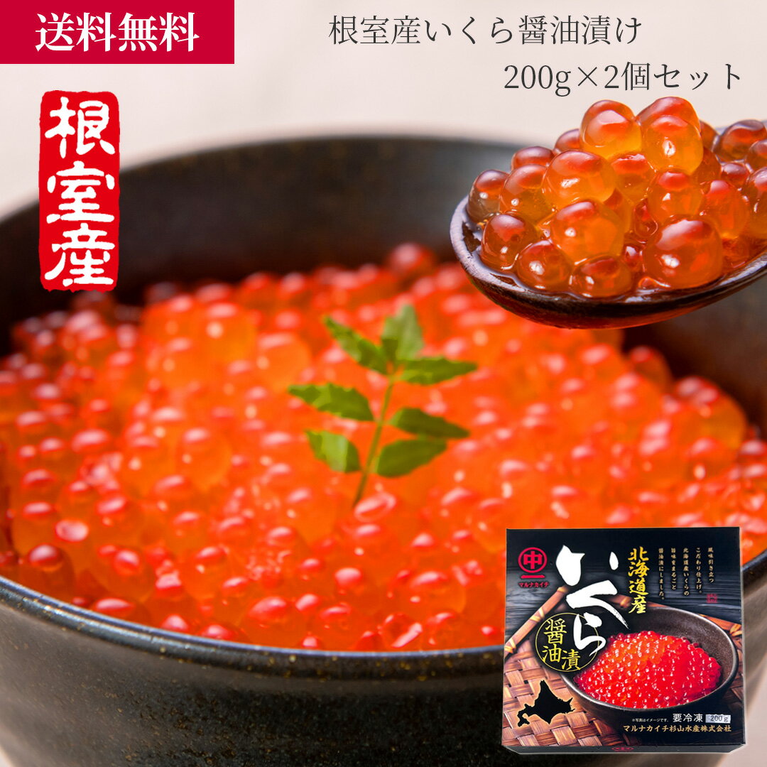 根室産いくら醤油漬け 2箱セット / 海産物 お取り寄せ グルメ 魚屋 ギフト 贈答 自宅用 送料無料 送料込み お中元 お歳暮 父の日 母の日 北海道 根室 鮭 サーモン 大容量