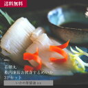 船内凍結お刺身するめいか(3P・いかの肝醤油付き)/海産物 お取り寄せ グルメ 送料無料 送料込み 自宅用 ギフト 贈答 お中元 お歳暮 父の日 贅沢 飛鳥フー...