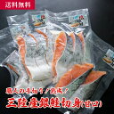 職人の手切り!熟成!三陸産銀鮭切身(甘口)10切 約1kg/ 海産物 お取り寄せ グルメ 魚屋 ギフト 贈答 自宅用 送料無料 送料込み お中元 お歳暮 父の日 母の日 塩鮭 甘塩 焼き魚 宮城 国産 サーモン 大容量 お得 お買い得