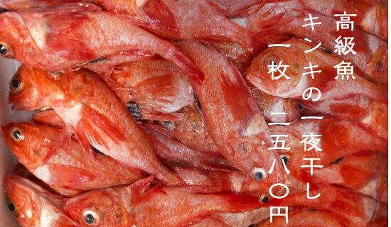 北海道を代表する高級魚！近海産　キンキの一夜干し!!!＜高級魚　一夜干し　きんき　贈答用　贈り物