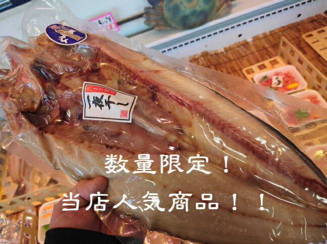 ���ڻ���£���ѡ����եȡ��̳�ƻ���������������봳���ͤ��碌!!!����ΤΤ��ȴ�������ʤ�̣�襤����Ȭ���쥤���ֳ����쥤��Ȭ���������ޤ���