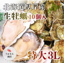 商品情報 名称(一般的名称) 生牡蠣 内容量 10個 原産地・採取海域 北海道厚岸産 消費期限 出荷日より5日(要冷蔵) 保存方法 10度以下で保存 生ものですのでできるだけ早くお召し上がりください。 加工業者 魚金商店 ※天候・交通等の影響により、ご指定日時にお届けできない場合もございます。あらかじめご了承ください。7,020円(税込)