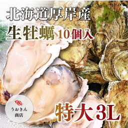 北海道厚岸産 特大牡蠣3L 特大サイズ（生かき 送料無料 お土産 お歳暮 ギフト お取り寄せ おもてなし グルメ 産直）　生カキ　10個入り 新鮮　殻付き　バーベキュー　BBQ　贈り物　特別　肉厚　濃厚　旨み　生食　牡蠣　殻付き　生かき 鮮魚店直営　プロの目利き　卸売り