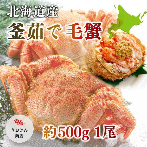 北海道産 毛ガニ（送料無料500g前後 