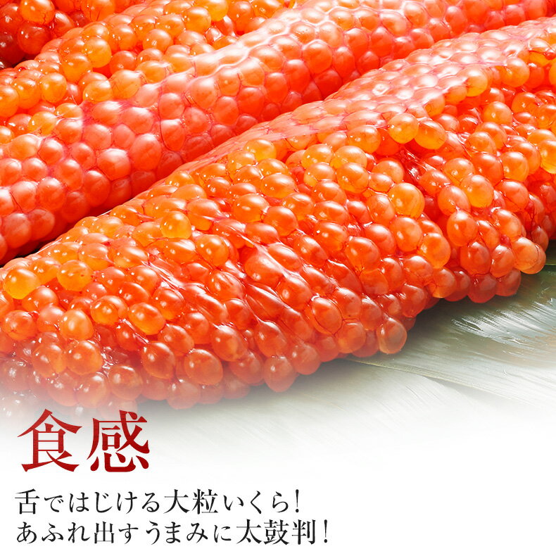 イクラ 国産 いくら 醤油漬け 1kg 250g×4 最高級3特グレード 国産の秋鮭から丹念にほぐした宝石のようなイクラ 【ご飯のお供/ご飯の友/お取り寄せ/グルメ/海鮮/ギフト/父の日/プレゼント/贈答】 3