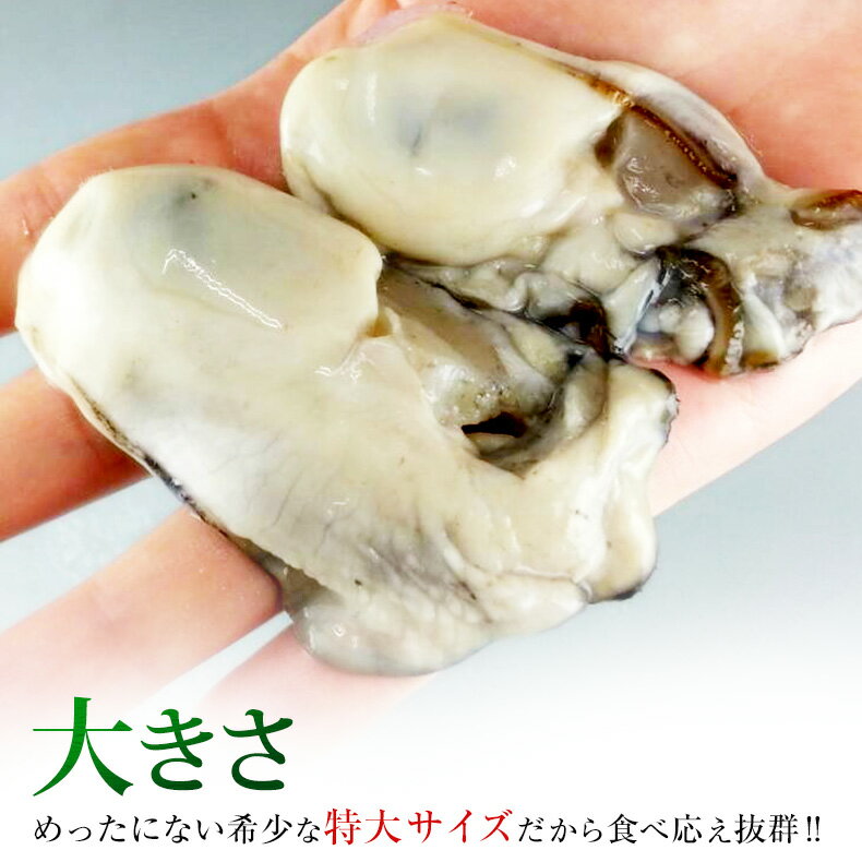 広島県産 カキ 1kg 冷凍 解凍後800g 35-40粒前後 Lサイズ 海の幸が豊富な瀬戸内海で育てられた良質な広島牡蠣 【広島かき/牡蠣/広島産カキ/お中元/ギフト/贈答】