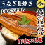 四万十うなぎ蒲焼長焼き 日本最後の清流、四万十川の恵みで育った自慢のウナギさらにきもすい1パック付き! 【鰻/蒲焼き/国産/国内産】 【ギフト/贈答】