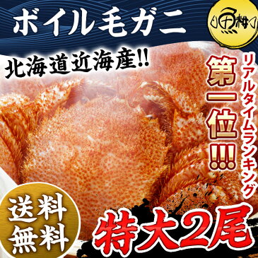 北海道近海産 特大毛ガニ ボイル済み 1kg 500g前後×2杯 約2〜3人前 【かに/カニ/蟹/毛蟹/毛ガニ/浜ゆで/冷凍】 【ギフト/プレゼント/贈答】