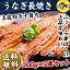 高知県四万十産うなぎ超特大サイズ蒲焼長焼き2尾(1尾約200g)さらにきもすい2パック付き!とろけるような旨みと上品なあじわい【送料無料】【母の日ギフト/贈答】 【国産/ウナギ/鰻/土用の丑/肝吸い】