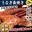 土用の丑の日 うなぎ 蒲焼き 国内産 送料無料 高知県四万十産ウナギ超特大サイズ長焼き5尾(1尾約200g) さらにきもすい5パック付き! 【遅れてごめんね/お中元ギフト/お中元/ギフト/贈答/プレゼント】【国産/鰻/肝吸い】
