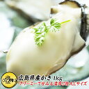広島県産 カキ 1kg 冷凍 解凍後800g 35-40粒前後 Lサイズ 海の幸が豊富な瀬戸内海で育てられた良質な広島牡蠣 【広島…