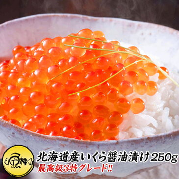 イクラ 岩手三陸産 いくら 醤油漬け 1kg （250g×4） 送料無料 最高級3特グレード 三陸産の秋鮭から丹念にほぐした宝石のようなイクラ 【ご飯のお供/ご飯の友/お取り寄せ/グルメ/海鮮】【ギフト/プレゼント/贈答】