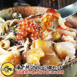 松前漬け 数の子 海十丼 わたりどん 3個セット 750g 10種の豪華海鮮を贅沢に味わえるプレミアム松前漬 【ギフト/贈答/海鮮丼の具/ご飯のお供/ご飯の友/お取り寄せ/高級】