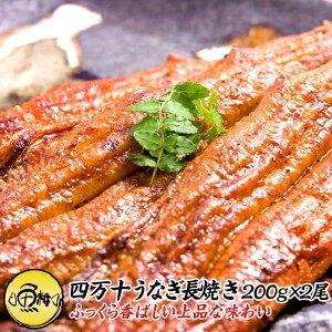 高知県四万十産 うなぎ 超特大サイズ 蒲焼き 長焼き 400g 2尾×約200g 【母の日/ギフト/プレゼント/贈答/海鮮/国産/ウナギ/鰻/土用の丑の日/高級】