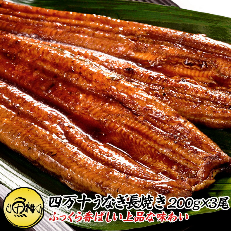 高知県四万十産 うなぎ 超特大サイズ 蒲焼き 長焼き 600g 3尾 約200g 【ギフト/母の日/プレゼント/食べ物/花以外/贈答/国産/国内産/ウナギ/鰻/土用の丑の日】