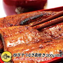 うなぎ 蒲焼き 国産 1kg 高知県 四万十産 ウナギ 超特大サイズ 長焼き 5尾×約200g 【父の日/ギフト/食べ物/贈答/プレゼント/国内産/鰻/unag...