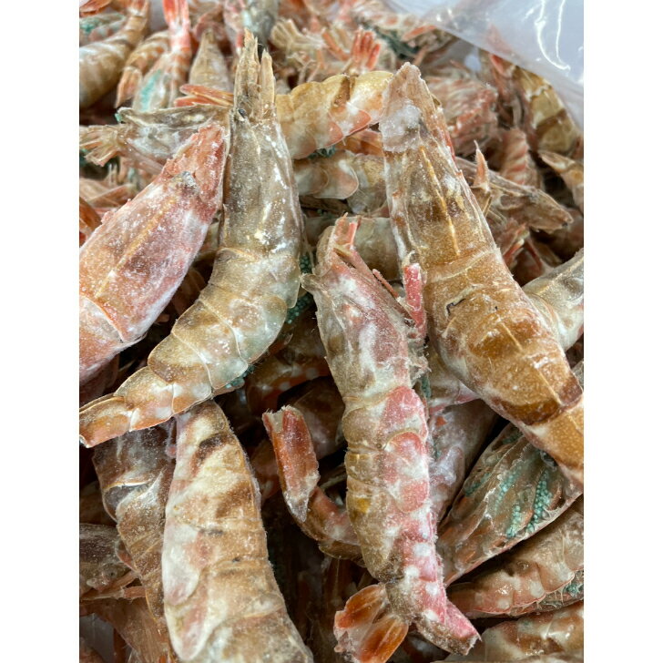 山陰で水揚げされた鮮度抜群のモサエビを冷凍しました クロザコエビ ドロエビ とも言います