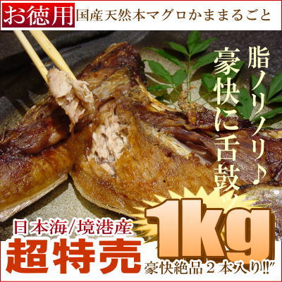 国産天然本まぐろ特別大漁卸市【大とろかままるごと/お徳用"】たっぷり1kg!脂ノリノリ★奏でる脂に舌鼓♪炙り焼き/包み焼に最適/