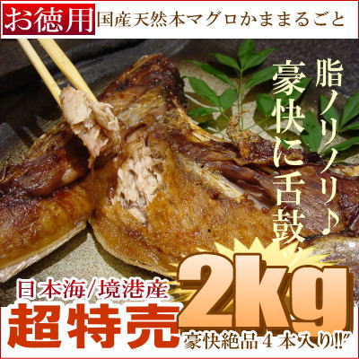 国産天然本まぐろ特別大漁卸市【大とろかままるごと/お徳用"】どっさり2kg!脂ノリノリ★奏でる脂に舌鼓♪炙り焼き/包み焼に最適