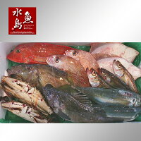 厳選日本海の鮮魚セット「海におまかせ・大漁箱」大満足詰め合わせ