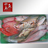 厳選日本海の鮮魚セット「海におまかせ・大漁箱」大満足詰め合わせ