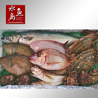 厳選日本海の鮮魚セット「海におまかせ・大漁箱」大満足詰め合わせ