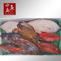 厳選日本海の鮮魚セット「海におまかせ・大漁箱」大満足詰め合わせ