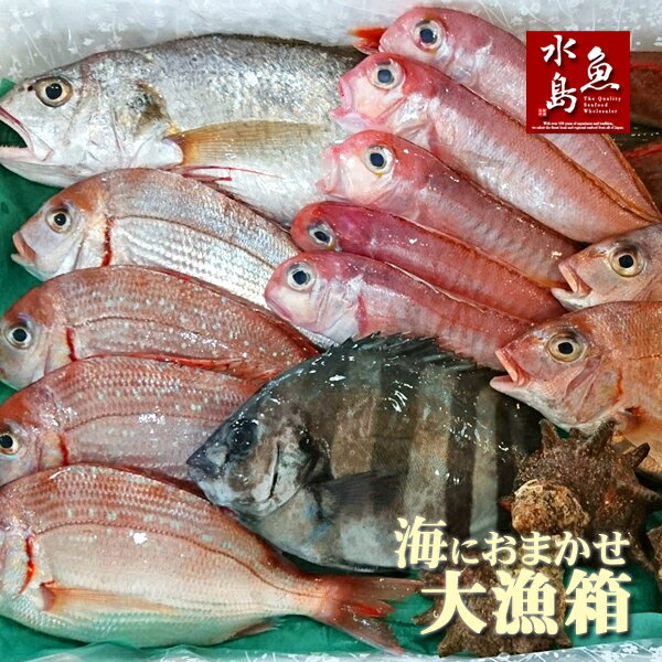 厳選 日本海の鮮魚セット「海にお