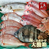 厳選日本海の鮮魚セット「海におまかせ・大漁箱」大満足詰め合わせ