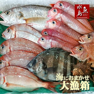 厳選 日本海の鮮魚セット「海におまかせ・大漁箱」 大満足詰め合わせ