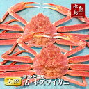 【送料無料】活ズワイガニ姿 新潟・佐渡産「活 本ズワイガニ」季節限定（生 本ずわい蟹）大600g以上 2杯