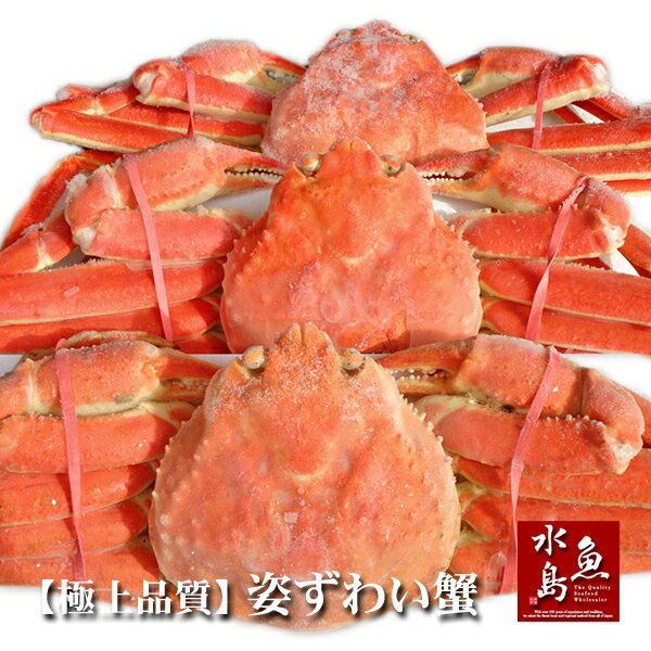 【送料無料】極上品質 ズワイガニ・姿 約500g×3杯(冷凍)