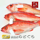 【送料無料】のどぐろ 新潟・日本海産 ノドグロ 800g以上・3尾（生冷凍）