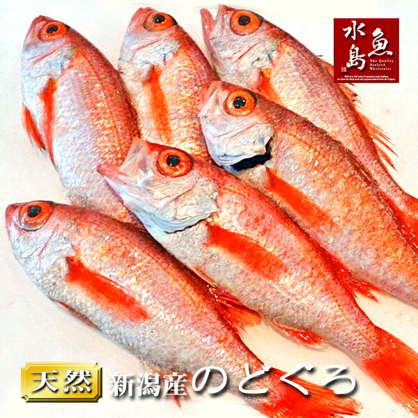 のどぐろ 新潟・日本海産 ノドグロ 200g以上・6尾（生冷凍）のサムネイル