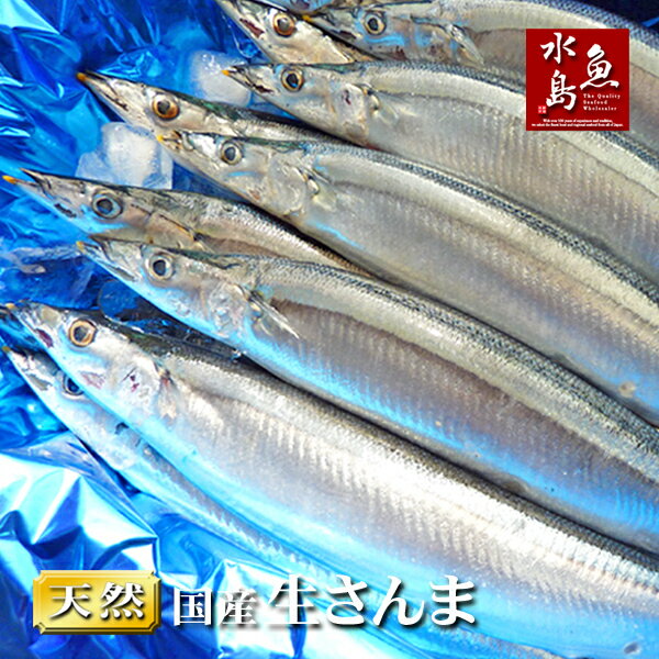 生サンマ 北海道～三陸産 秋刀魚 刺身用 さんま 4kg 30尾前後