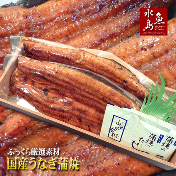 国産 鰻うなぎ蒲焼き ふっくら厳選素材 約30cm超特大 約200g×2尾 父の日ギフト/土用丑の日/お中元