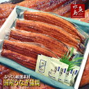 【送料無料】国産 鰻うなぎ蒲焼き ふっくら厳選素材 約30cm超特大 約200g×4尾 父の日ギフト/土用丑の日/お中元