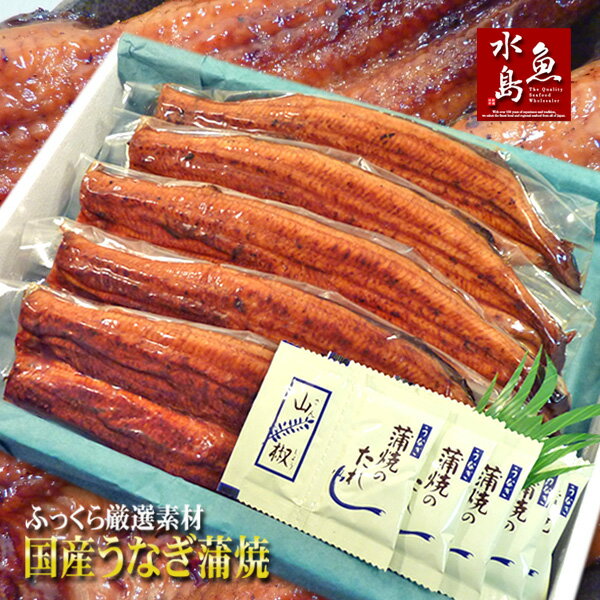 【送料無料】国産 鰻うなぎ蒲焼き ふっくら厳選素材 約30cm超特大 約200g×5尾 メガ盛り1kg 父の日ギフト/土用丑の日/お中元