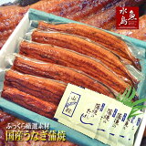 【送料無料】国産鰻うなぎ蒲焼ふっくら厳選素材約30cm特々大約200g×5尾メガ盛り1kg