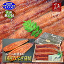 国産 鰻うなぎ蒲焼き ふっくら厳選素材 約30cm超特大 約200g×3尾【父の日ギフト】【土用丑の日】