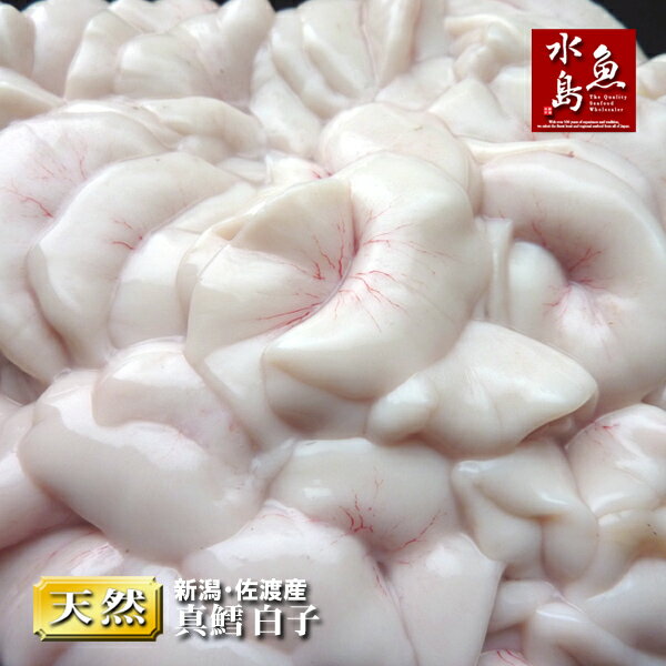 新潟・佐渡産 真鱈白子「季節限定」1kg