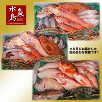 厳選日本海の鮮魚セット「海におまかせ・大漁箱ちょっと贅沢編」大満足詰め合わせ