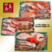 厳選日本海の鮮魚セット「海におまかせ・大漁箱ちょっと贅沢編」大満足詰め合わせ