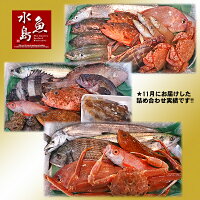 【送料無料】厳選日本海の鮮魚セット「海におまかせ・大漁箱ちょっと贅沢編」大満足詰め合わせ