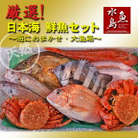 厳選日本海の鮮魚セット「海におまかせ・大漁箱ちょっと贅沢編」大満足詰め合わせ