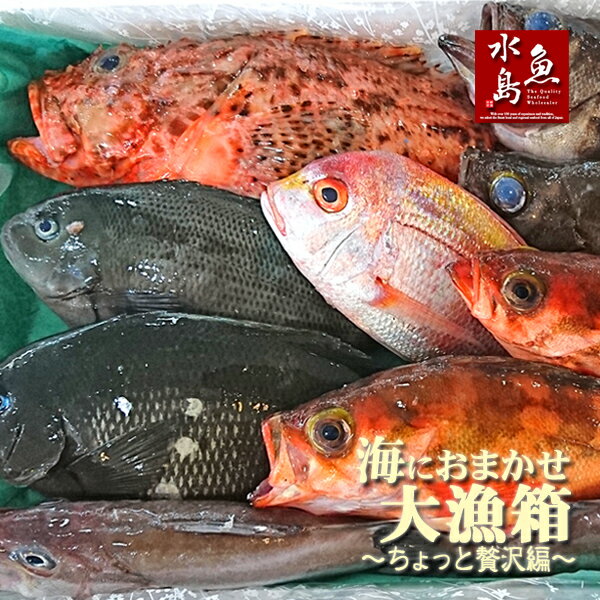 厳選 日本海の鮮魚セット「海にお